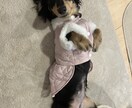 愚痴でもなんでもお聞きします 1回お電話してみませんか？お待ちしてます♡ イメージ2