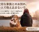 大切な家族ペットロス…辛いあなたのお話し聴きます 私には「たかがペット」じゃない…　誰にも分かってもらえない… イメージ1