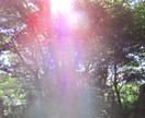魂の開花メッセージをお届け致します 一歩前に進みたい時、魂のほんとうの声をきく事で開けてゆきます イメージ3