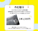 再生を諦めた思い出のビデオテープ、カビ除去します VHSカビ取り、思い出のVHSビデオテープのカビを除去！ イメージ1