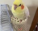 悩み相談、雑談、お話なんでも聞きます 何かに悩んでいる・話し相手がほしい方へ、楽しい時間を提供！ イメージ3
