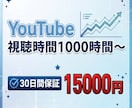 プロが視聴時間を安全に1000時間以上増やします セールなしのプロ仕様。安全第一で視聴時間を増やします。 イメージ1