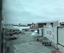 シドニー空港乗り継ぎ方法ヘルプします JAL, カンタス便に搭乗し、シドニー空港乗り継ぎヘルプ イメージ2