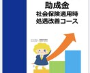 社労士が社会保険適用促進コースについて解説します キャリアアップ助成金いわゆる106万円の壁新コース説明します イメージ2