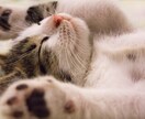 あなたの悩み事、愚痴等親身に相談に乗ります あなたに寄り添う、心のレスキュー‼️ イメージ3