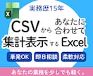 CSVを貼付で集計表示するExcelを作ります あなたの欲しい情報を簡単に表示できるようにします イメージ1