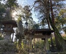 鎌倉に住みたい！という方へ、役立つ情報ご提供します 住む前に知っておくべき情報がたくさんあります！ イメージ6