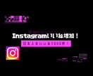 Instagramのいいねを増加します Instagramの日本人のいいね1000件増加します！ イメージ1