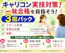 キャリアコンサルタント実技面接試験の相手役やります 目指せ一発合格！実務経験9年目のキャリコンが丁寧に指導！ イメージ1