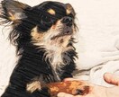 写真から精密模写し、パステル風似顔絵を制作します 誕生日や記念日、クリスマスなどの年間行事のプレゼントに。 イメージ4