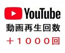 YouTubeの再生回数を増加させます YouTubeの収益化を目指す/動画再生回数の増加 イメージ6