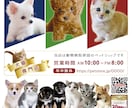 想いをカタチに。オーダーメイドのチラシを制作します プロが一から丁寧に制作！テンプレは使いません。サイズ制限無し イメージ3