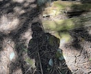 あなたの気持ちをお聞きします 一人で抱え続けるのが辛い気持ちは人に話すと少し楽になります。 イメージ3