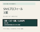 SNSプロフィール文を3案と一言5案作成します お店や活動の紹介を、選べる3案に整えます イメージ2
