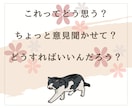 今、誰かと話したい。少しだけ聞いてほしいを叶えます 雑談でも！相談でも！気軽にお話ししましょう♪ イメージ6