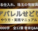 目利きを駆使しセカストで購入した古着を売ります 低資金低リスクでセカストで仕入れてメルカリで売る手法ノウハウ イメージ1