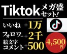 Tiktokメガ盛セット！アカウントを盛り上げます フォロワー、いいね、コメントが一気に増えるお買い得セット！ イメージ1