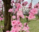 元キャバ嬢元美容師の私がなんでもお話し聞きます たっぷり1ヶ月♪貴方様に寄り添います♡男性も女性もオッケー♡ イメージ7