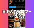 インスタの日本人フォロワーを100人〜増やします 【最安】Instagramの日本人100人増加ほぼ減少なし イメージ9