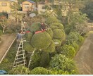 あなたのwebサイト作成します 個人でwebサイト制作されたい方等何でもご相談ください。 イメージ1