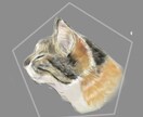 ご自宅で一緒に住んでるネコのイラストを制作します ご自宅ネコちゃんイラスト（お試し版：肩より上・顔アップ） イメージ1