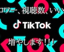 TikTokのフォロワーや視聴数、増やします 多国籍のフォロワーに宣伝致します。 イメージ1