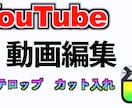 YouTube編集、カット作業やテロップ入れます 【Final Cut Pro X使用】初心者や時間がない方 イメージ1