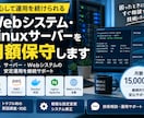 Webシステム・Linuxサーバーを月額保守します Docker・VPS障害対応や軽微な修正を継続サポートします イメージ1