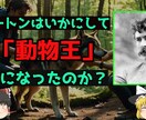ゆっくり解説の台本をスピーディに納品します AIには書けないわかりやすい台本を丁寧に仕上げます イメージ6