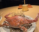 気軽にお話しできたらいいなと思ってます 呑気になんも考えずに話せる友達感覚で出来たらとおもってます！ イメージ1