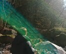 悩みを考える前にする事があります あなたの住まう場所の氣は整っていますか？ イメージ1