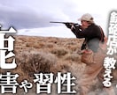 丸投げOK！YouTubeサムネイル作成します 派手からシンプルまで、目を引くサムネイルを制作します！ イメージ7