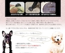 ヴィンテージ風 ペット 迷子札 名入れお作りします 3行タイプ/ワンちゃん、猫ちゃん用アクセサリー風ペットタグ♪ イメージ8