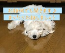 5分だけでも！あなたのお話聞きます 爽やか系イイ声でお話させていただきます⭐️ イメージ1