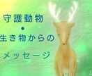 守護動物さんからのメッセージをお伝えします あなたを守護する動物や生き物。オプションでイラストも イメージ1
