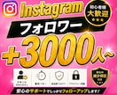 Instagramフォロワー＋3000人増やします 振り分け可能/ゆっくり増加可能/減少保証付き イメージ1