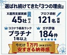 売上アップの土台作り。X差別化コンセプトを作ります 看板のないラーメン屋を卒業。Xを資産に変える、コンセプト設計 イメージ2