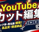 最安！丁寧・迅速にカット編集！不要部分を削除します カット編集経験あり！無言・言い淀みをカットしテンポ良い動画へ イメージ1