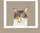 ご自宅で一緒に住んでるネコのイラストを制作します ご自宅ネコちゃんイラスト（お試し版：肩より上・顔アップ） イメージ2