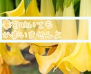 どんなお話でも、丁寧に聞きます カウンセリング技術を活かして、丁寧にじっくりお話を聞きます。 イメージ8