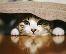 もっと自分らしくもっと自由に生きるサポートをします お話を聞いて、もっとあなたらしく輝くお手伝いをします。 イメージ4