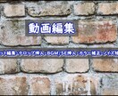 YouTube動画編集します 駆け出しの為お安く動画編集します自分では面倒な方は是非！ イメージ1