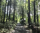 惰性で生きている人⇒理想の自分に近づきます オリジナル内省ワークでポジティブに頑張る力が湧く！ イメージ3