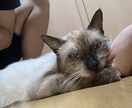 ただただ話をお聞きします 誰でもいいからとりあえず誰かに話したい時の誰かになります イメージ1