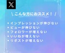 X(Twitter)アカウントリサーチ代行します 副業・マーケ用ターゲット、市場調査用でもOK！リサーチ代行 イメージ2
