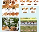 楽天・Yahoo！などの商品画像を作成します 1枚1000円で作成 現役ECサイト運営デザイナー イメージ4