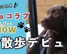 1枚3000円！YouTubeサムネイル作ります 面倒なサムネイルは任せて動画編集の時間に回してください♪ イメージ5