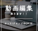 動画編集承ります ご納得いただけるまで何度でも修正いたします！ イメージ1