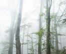 このままでいい？本当にやりたいことは？共に探します モヤモヤからの脱却に向けて、自身を見つめ直してみませんか？ イメージ6