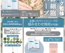 オールジャンル対応可能！伝わるチラシ作成します チラシ・リーフレット幅広いジャンルでデザインします イメージ3